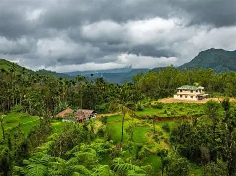 Coorg Mist & Spice Sanctuary