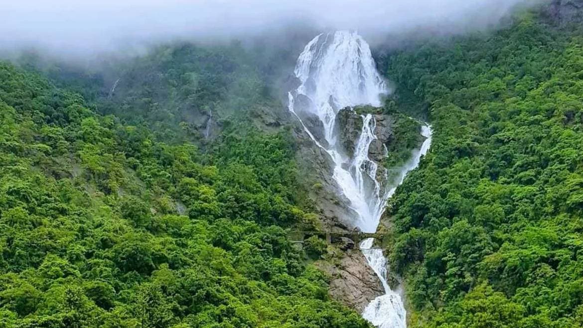 Dudhsagar Waterfalls & Jungle Safari