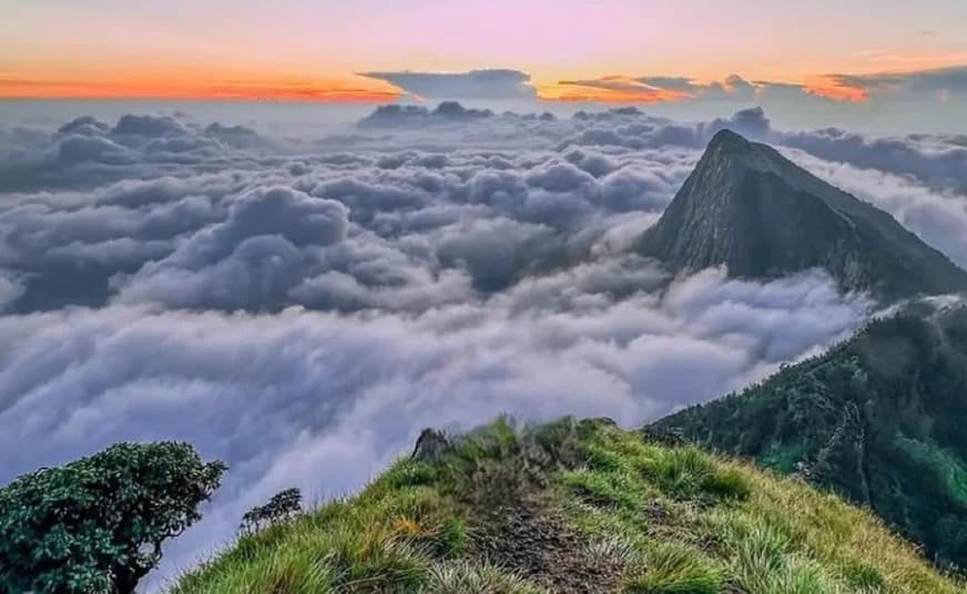 Munnar Tea Estates & Cloud mist