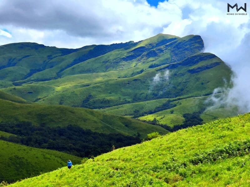 Netravati Peak & Shola Grasslands